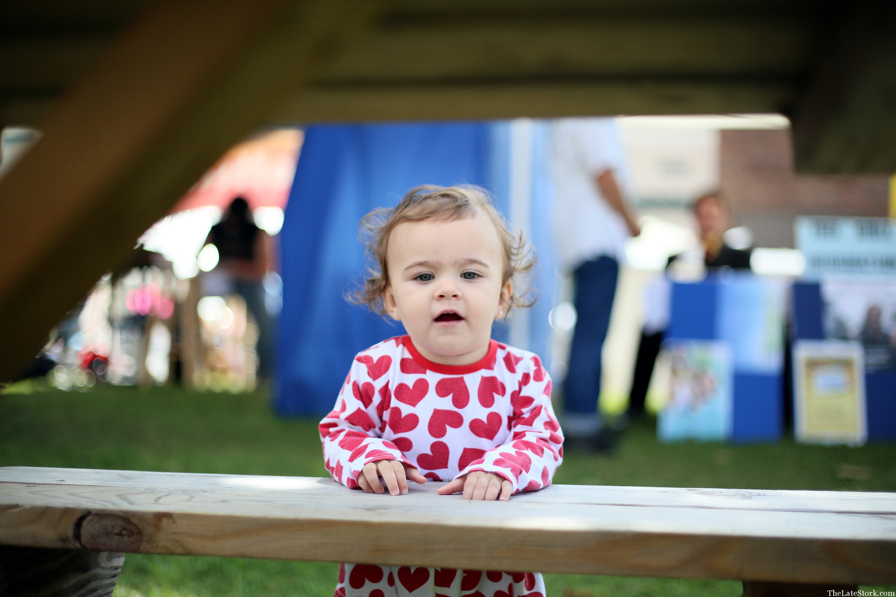 Apple Butter Festival! ♥ The Late Stork